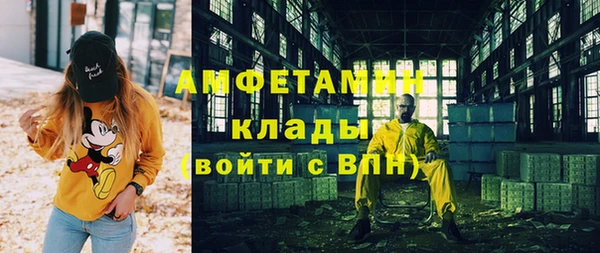 прущие грибы Алексеевка