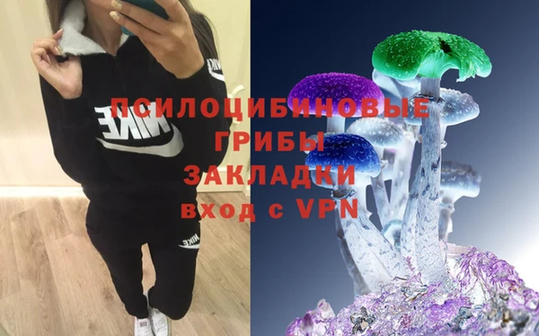 наркотики Алексин